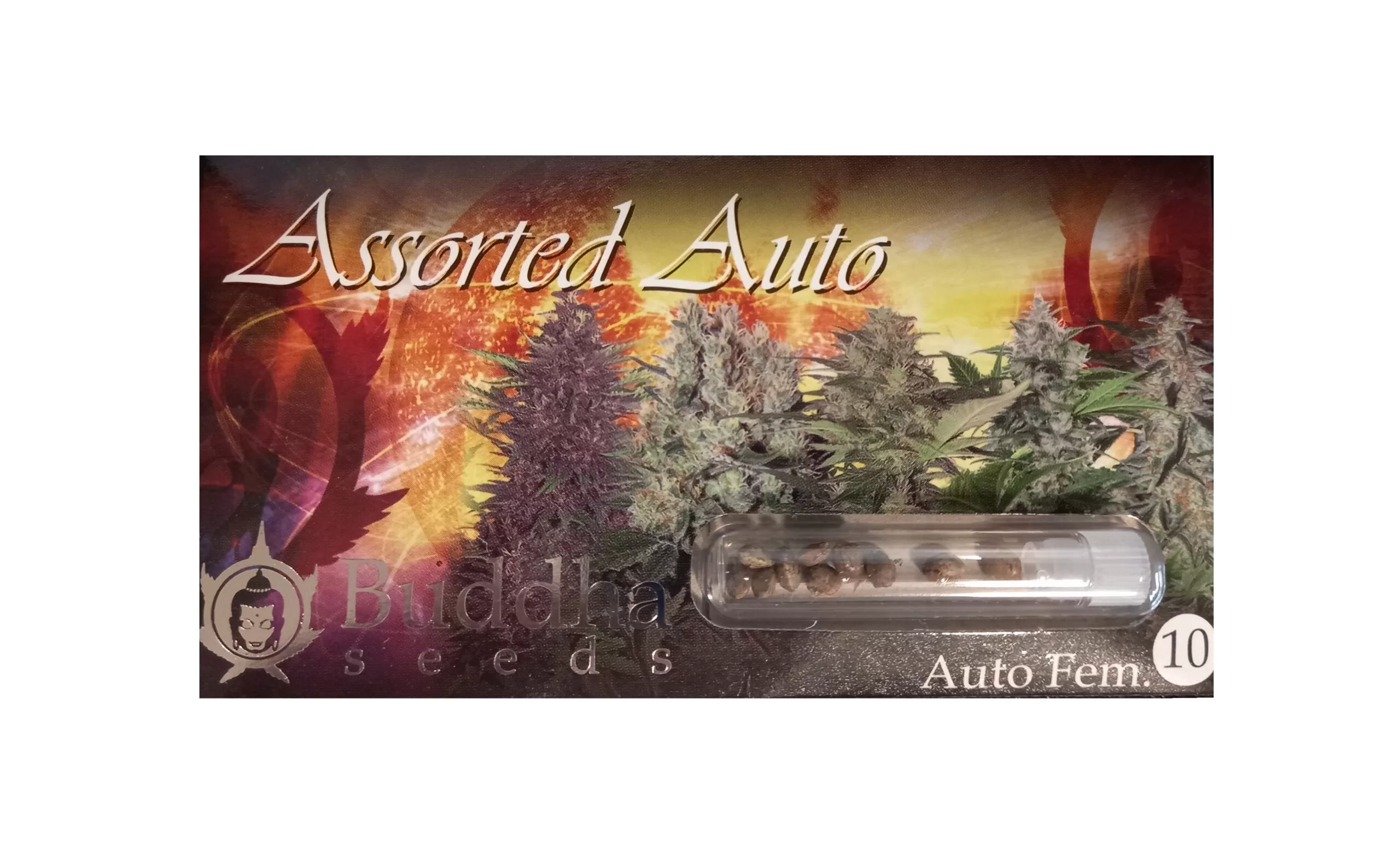 Sweet Mix Auto pack de 10 semillas autoflorecientes, Sweet Seeds